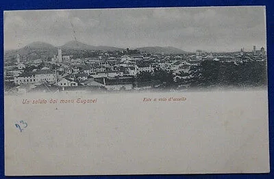 UN SALUTO DAI MONTI EUGANEI Panorama viaggiata 1908 f/p #19930