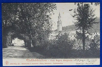 VALDOBBIADENE Viale Regina Margherita viaggiata 1904 f/p #19880