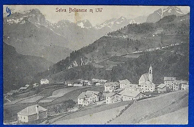 SELVA BELLUNESE Panorama  viaggiata 1908 f/p #20041