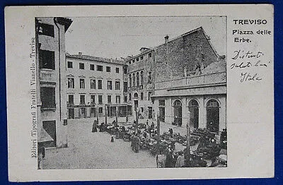TREVISO Piazza delle Erbe Mercato animata viaggiata “900 f/p #19941