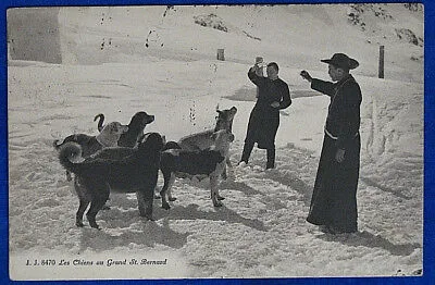 LES CHIENS AU GRAND S. BERNARD cani  viaggiata  anni  20 f/p #15558