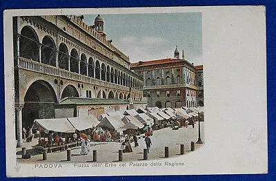 PADOVA Piazza delle Erbe Mercato animata viaggiata “900  f/p #250