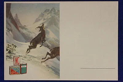 ILLUSTRATA PUBBLICITARIA POLVERE DA SPARO SIPE NO VIAGG ANNI 40/60 FG #15524
