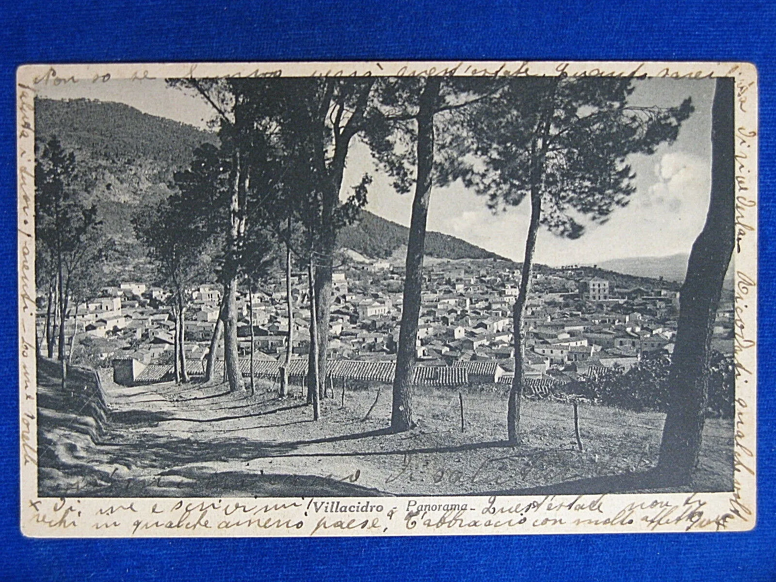 VILLACIDRO Medio Campidano Panorama Alberato viaggiata, 1939 #14555
