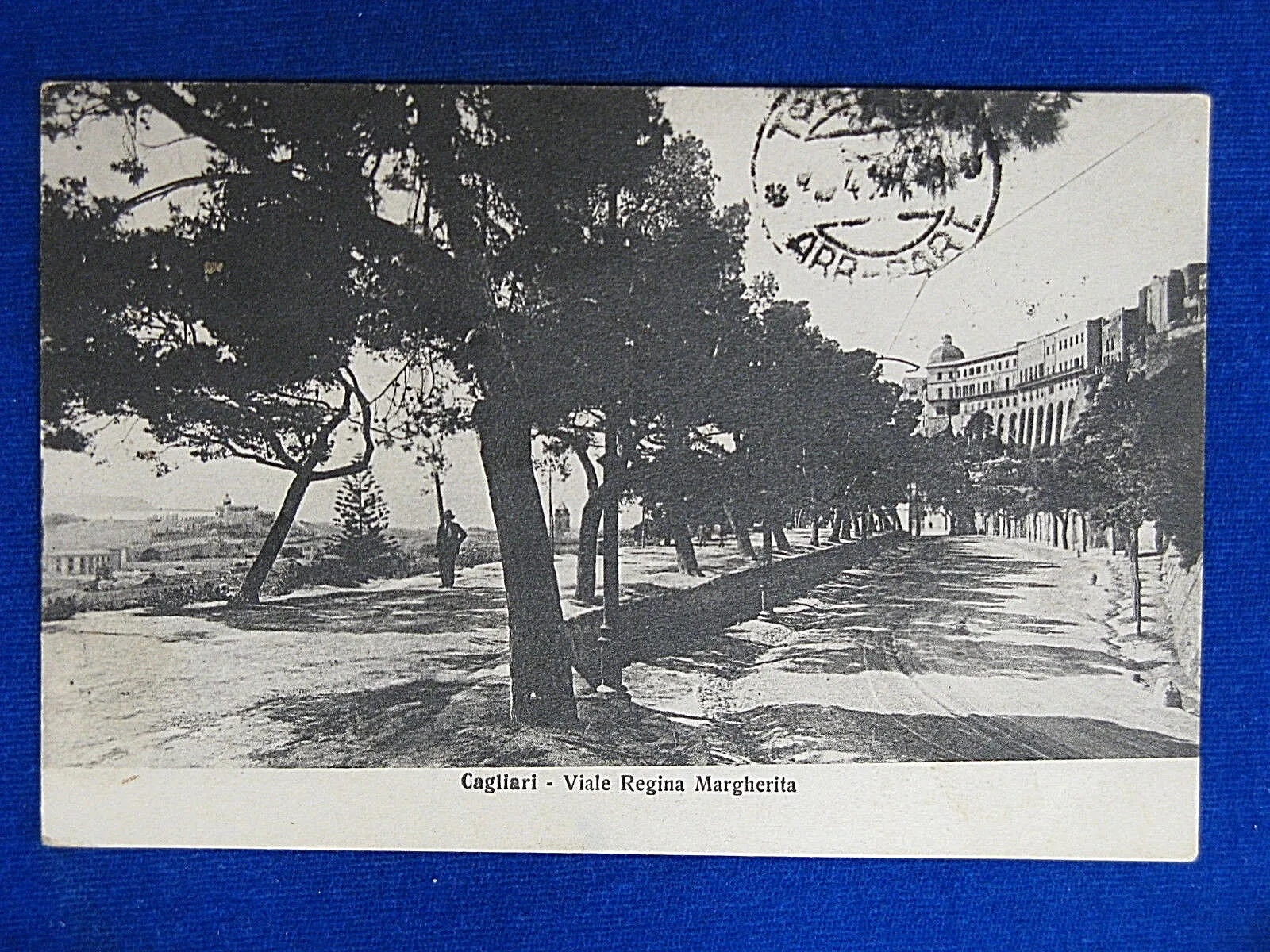 CAGLIARI Viale Regina Margherita viaggiata anni 30 f/p #14593