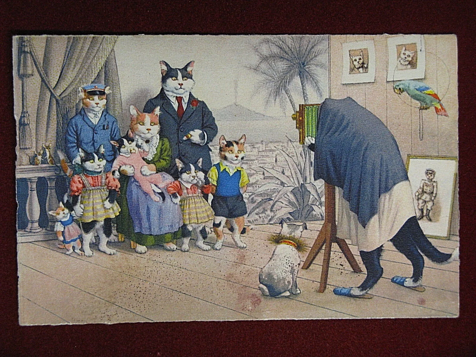 illustrata GATTI UMANIZZATI no viaggiata anni 10/20 #13532