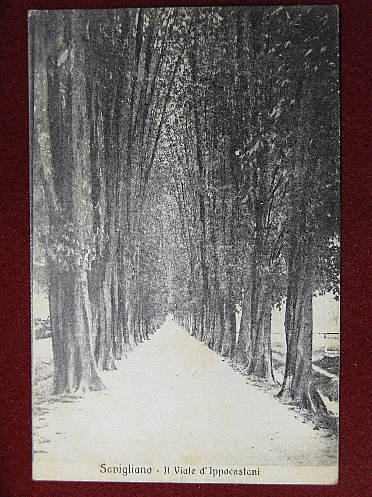 Savigliano Viale d’ Ippocastani anni 20 viaggiata #12896
