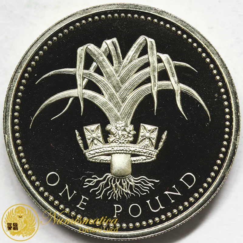 GRAN BRETAGNA 1 Pound 1990 Elisabetta II #6216