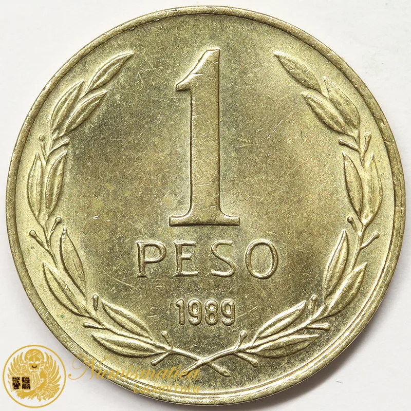 CILE 1 PESO 1989 #7033