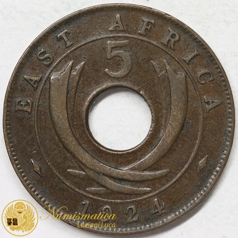 AFRICA ORIENTALE BRITANNICA 5 CENTS 1924 (KM18) BB+ #8918