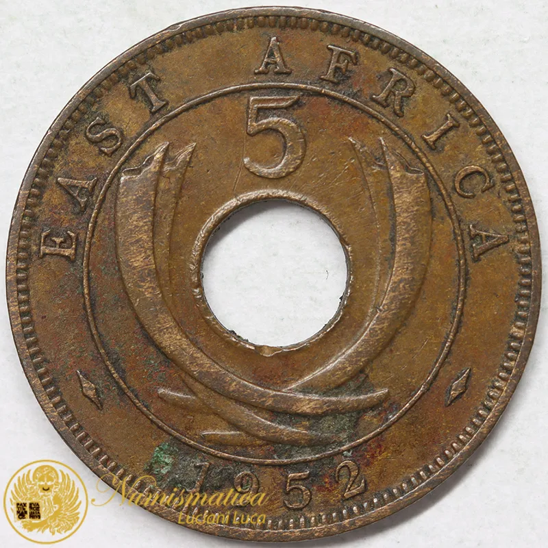 AFRICA ORIENTALE BRITANNICA 5 CENTS 1952 BB #8922