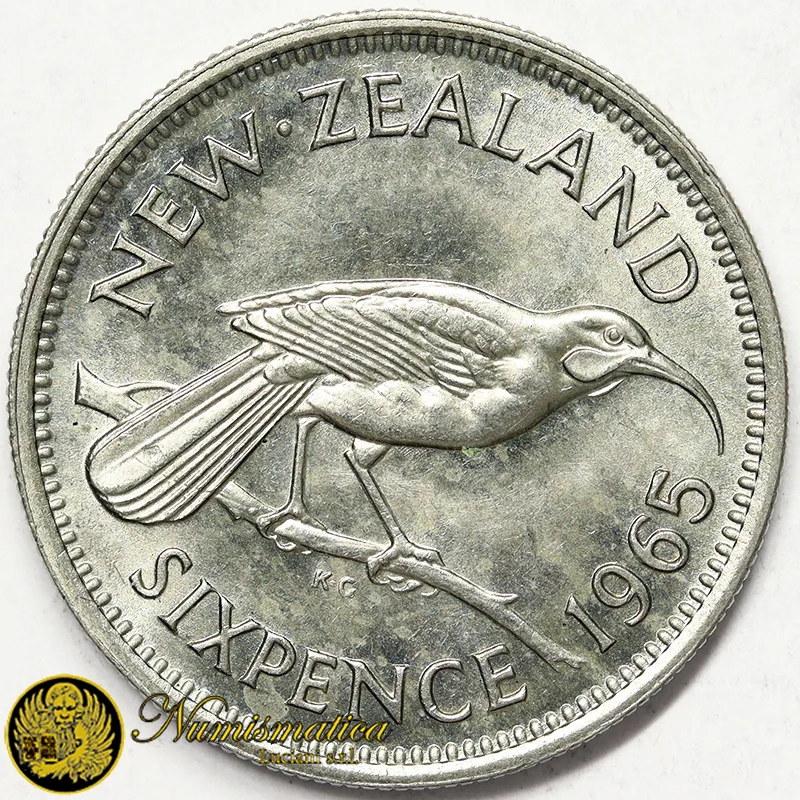 NUOVA ZELANDA 6 PENCE 1965 HUIA BIRD Elisabetta II §352