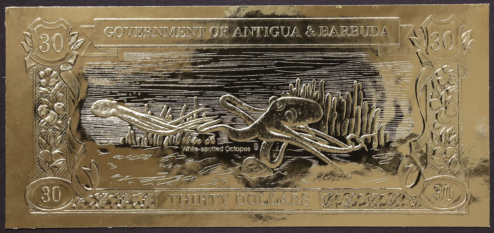 Antigua e Barbuda 30 Dollari 1984 White Spotted Octopus #B1059