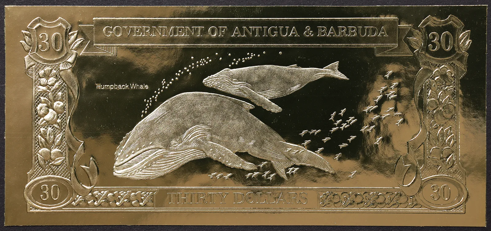 ANTIGUA e BARBUDA 30 Dollari 1981 FDS in Lamina d’oro Megattera #B1154