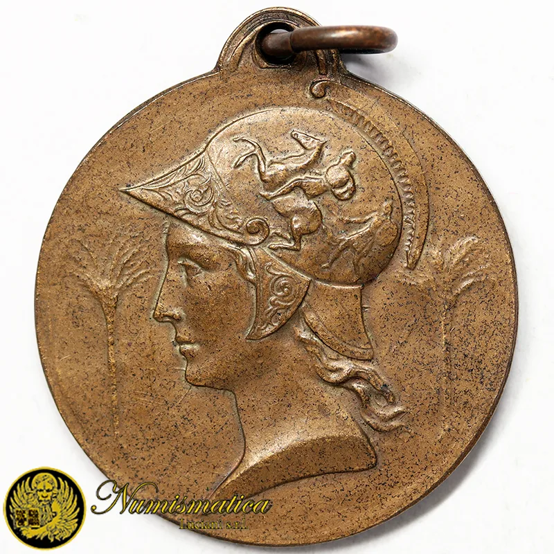 Medaglia Associazione Genieri e Trasmettitori #MD1564
