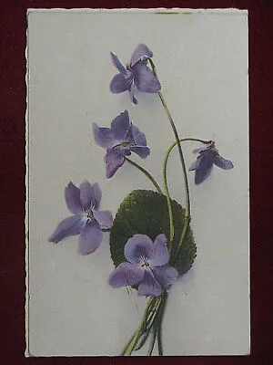illustrata VIOLETTE viaggiata anni 20 #9028