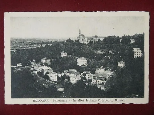 BOLOGNA Panorama non viaggiata anni 40 #8030