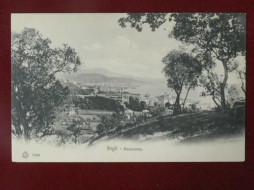 PEGLI Panorama non viaggiata anni 10 #2635