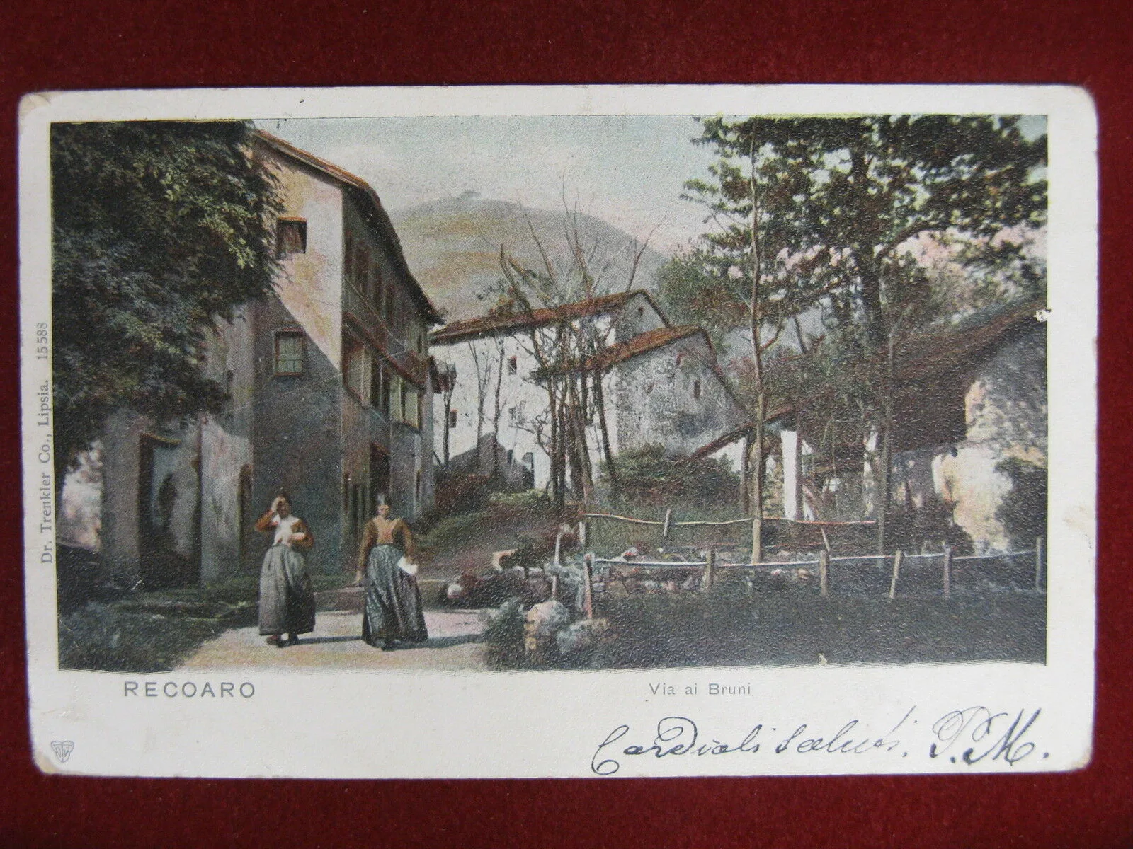 Recoaro Via ai Bruni anni 10 viaggiata animata #11942
