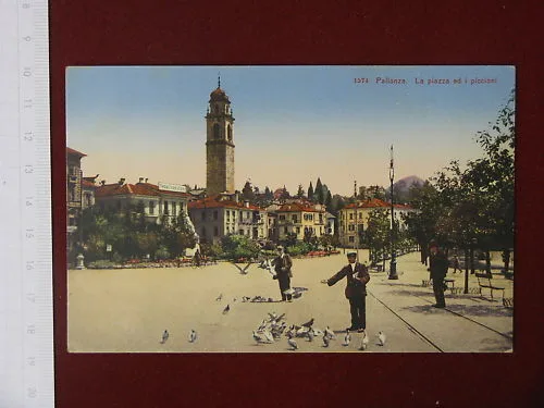 PALLANZA Piazza e Piccioni non viaggiata animata anni 10 #3966
