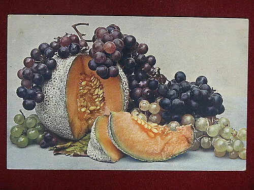 FRUTTA illustrata no viaggiata anni 20 #9038