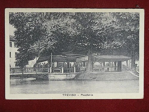 TREVISO Pescheria viaggiata anni 30 #9263