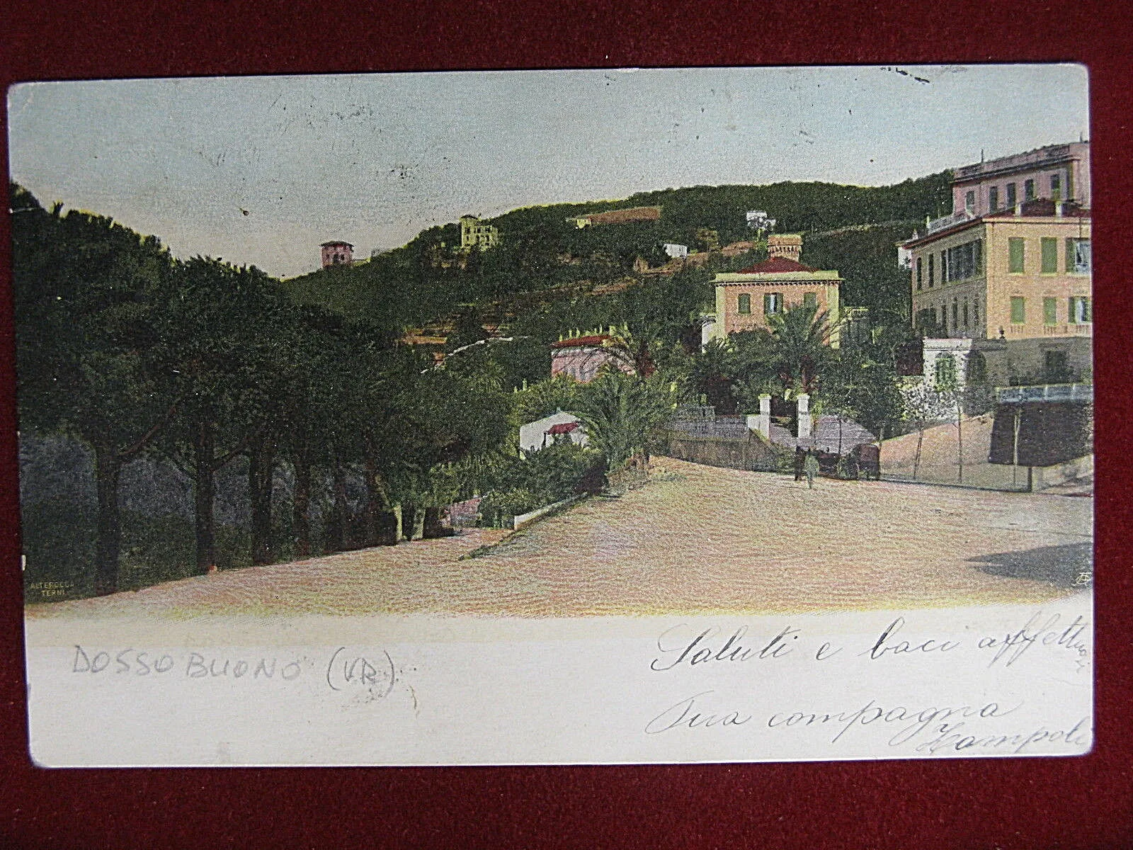 Colline Veronesi Panorama “900 viaggiata #5072
