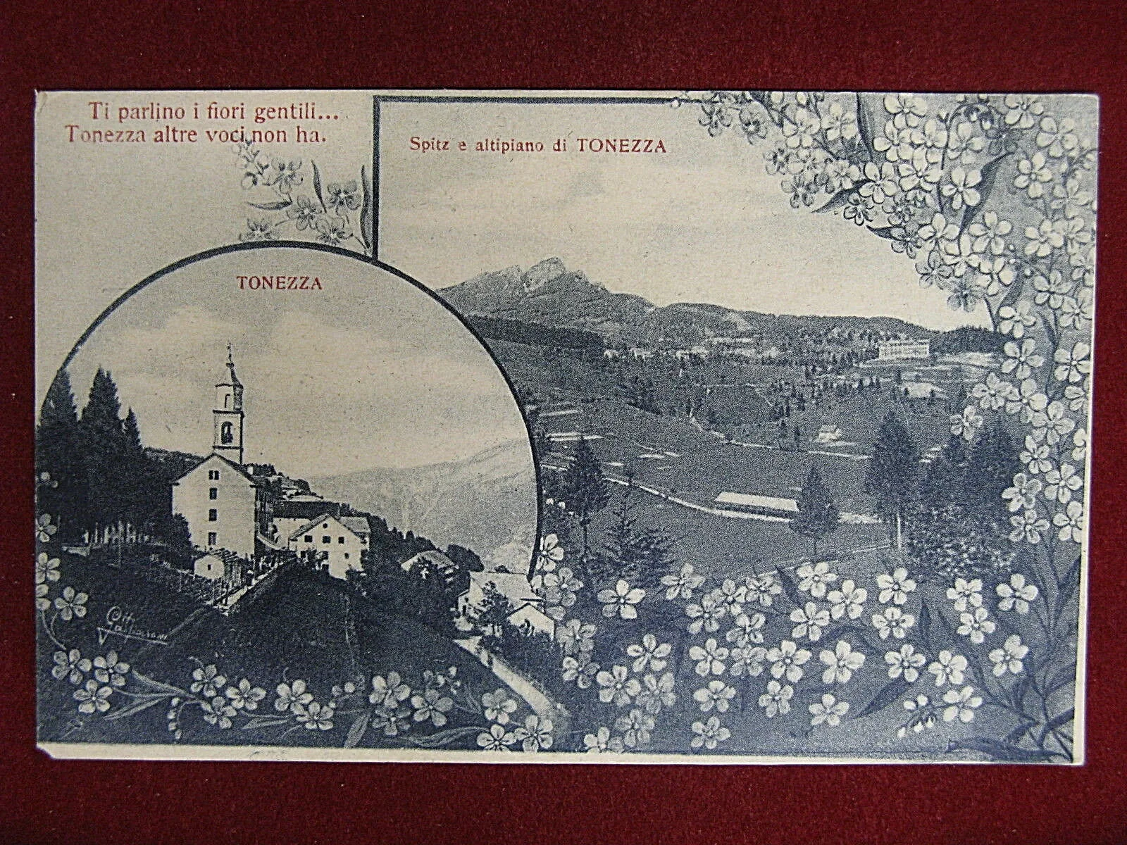 Tonezza Vedute anni 10/20 non viaggiata #11923