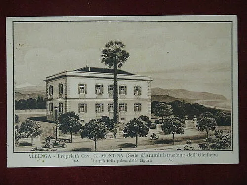 ALBENGA OLEIFICIO MONTINA NON VIAGGIATA #6526
