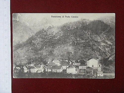 PRATO CARNICO Panorama viaggiata, anni 10 #3885
