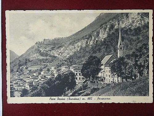 PIEVE TESINO – Panorama viaggiata anni 20 #4438
