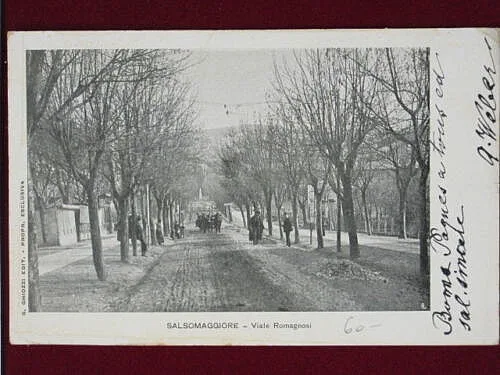SALSOMAGGIORE Viale Romagnosi viaggiata animata  anni 10 #2342