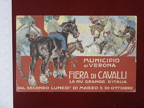 Verona FIERA CAVALLI 1912  illustrata CODOGNATO viaggiata #4055