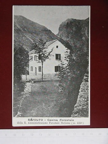 REVOLTO CASINA FORESTALE NON VIAGGIATA #3846