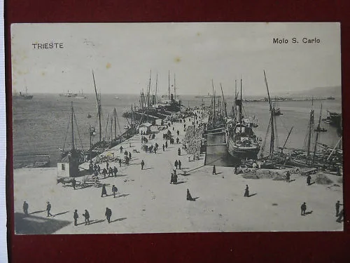 TRIESTE Molo S. Carlo animata navi viaggiata anni 10 #6636