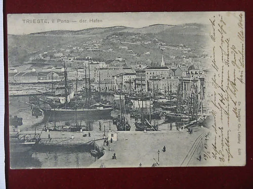 TRIESTE il Porto animata navi viaggiata “900 #6643