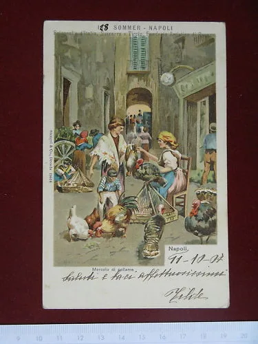 ILLUSTRATA BARONE A. – Panorami di Napoli – viaggiata,”900 #4167