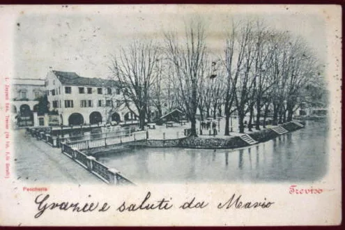 TREVISO Pescheria viaggiata animata “900 / L. Zoppelli Edit. #1152